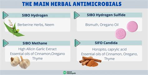 The elemental diet alone without supplements or antibiotics can sometimes be enough to bring about cure. . How i cured my hydrogen sibo